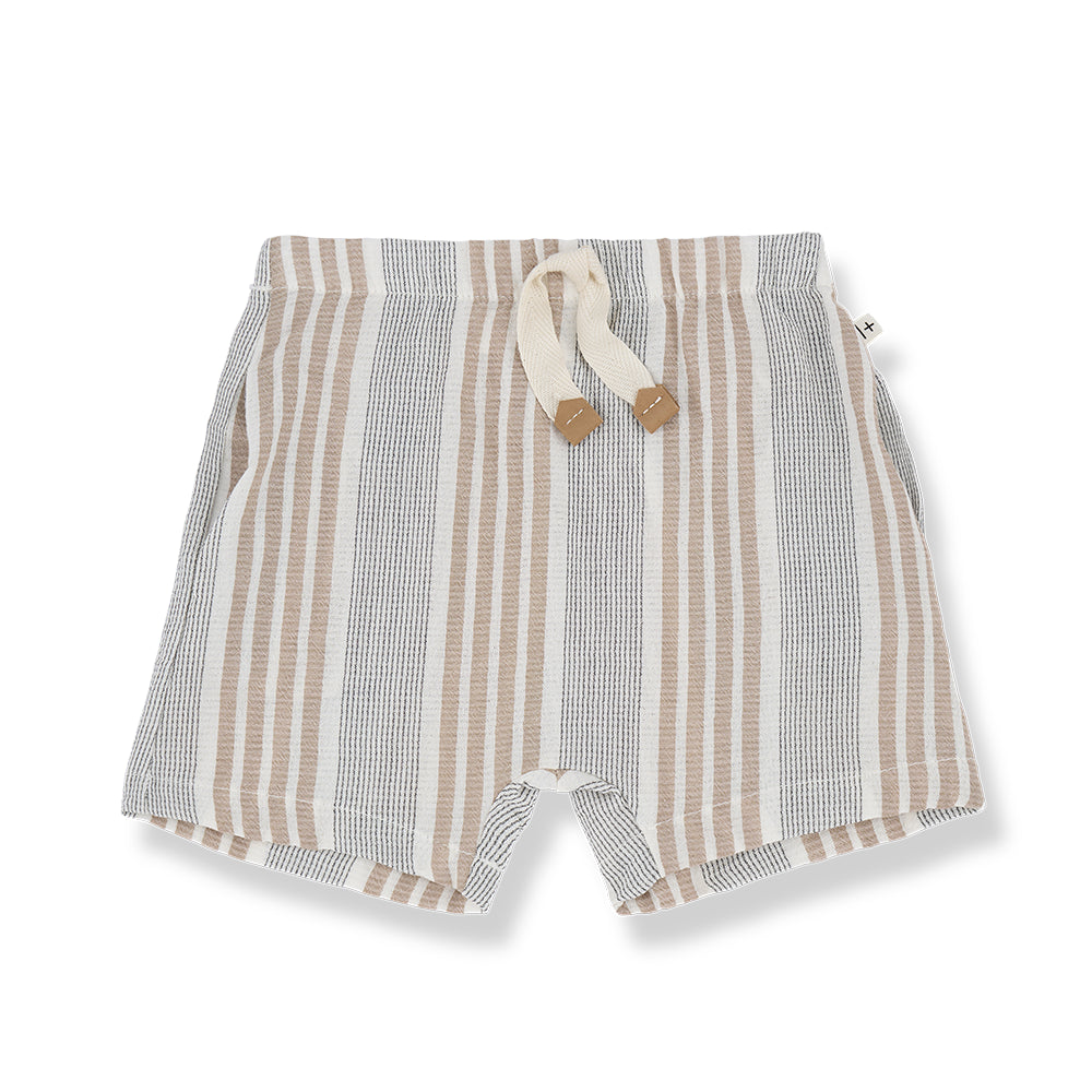 antonio bermuda short by 1+ in the family