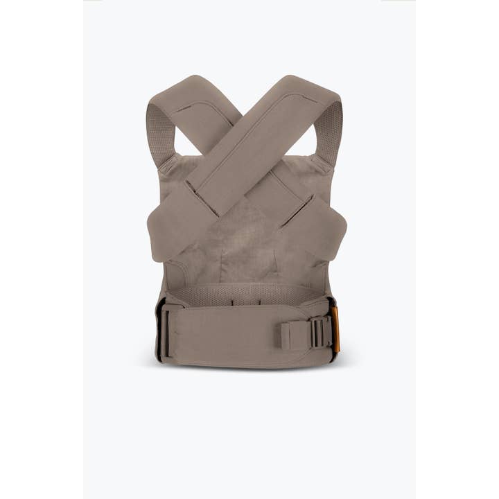 Desert Lark - Aerial Carrier by Wildbird