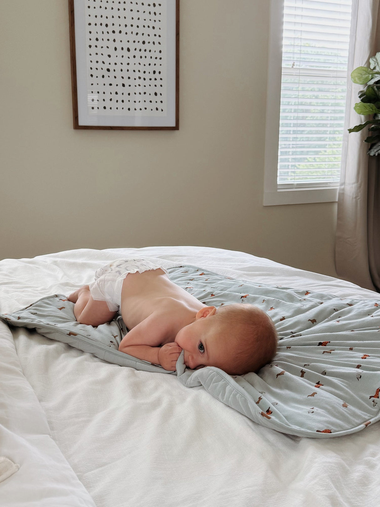 Cloud Blanket - Woof / 1.0 TOG by gunamuna