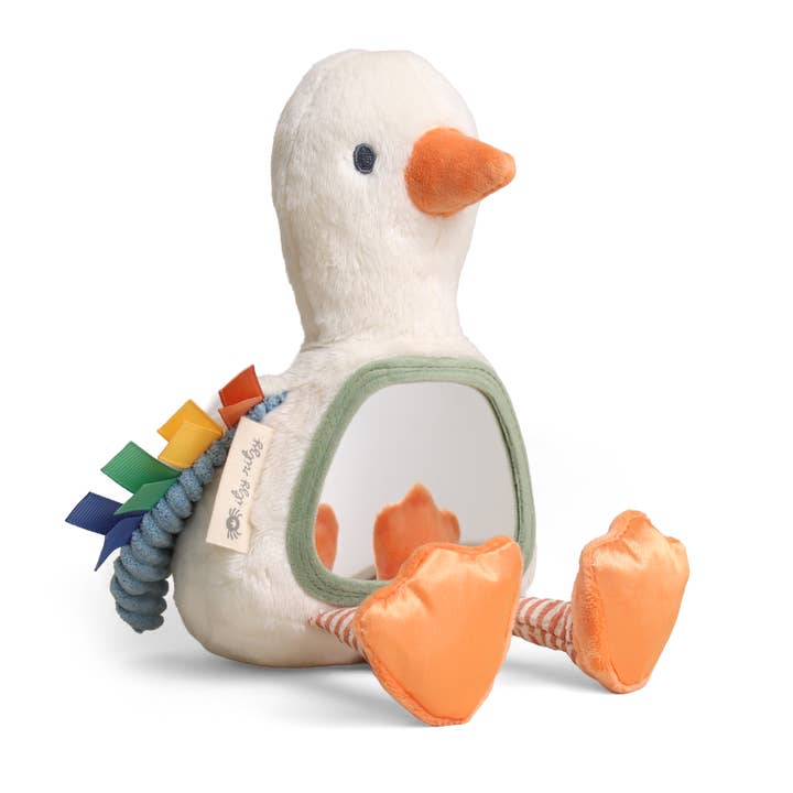 Itzy Bitzy Mirror Sensory Tummy Time- Goose by Itzy Ritzy
