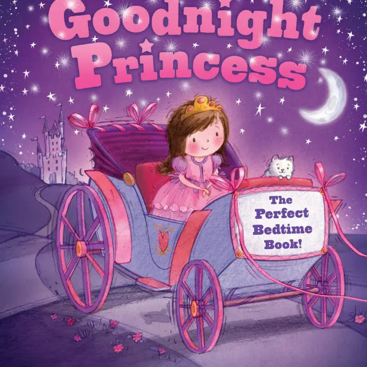 Goodnight Princess by Sourcebooks