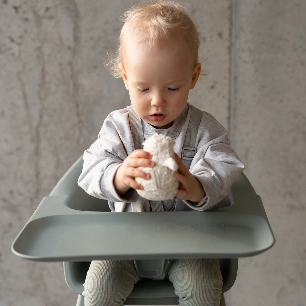 Stokke Clikk High Chair