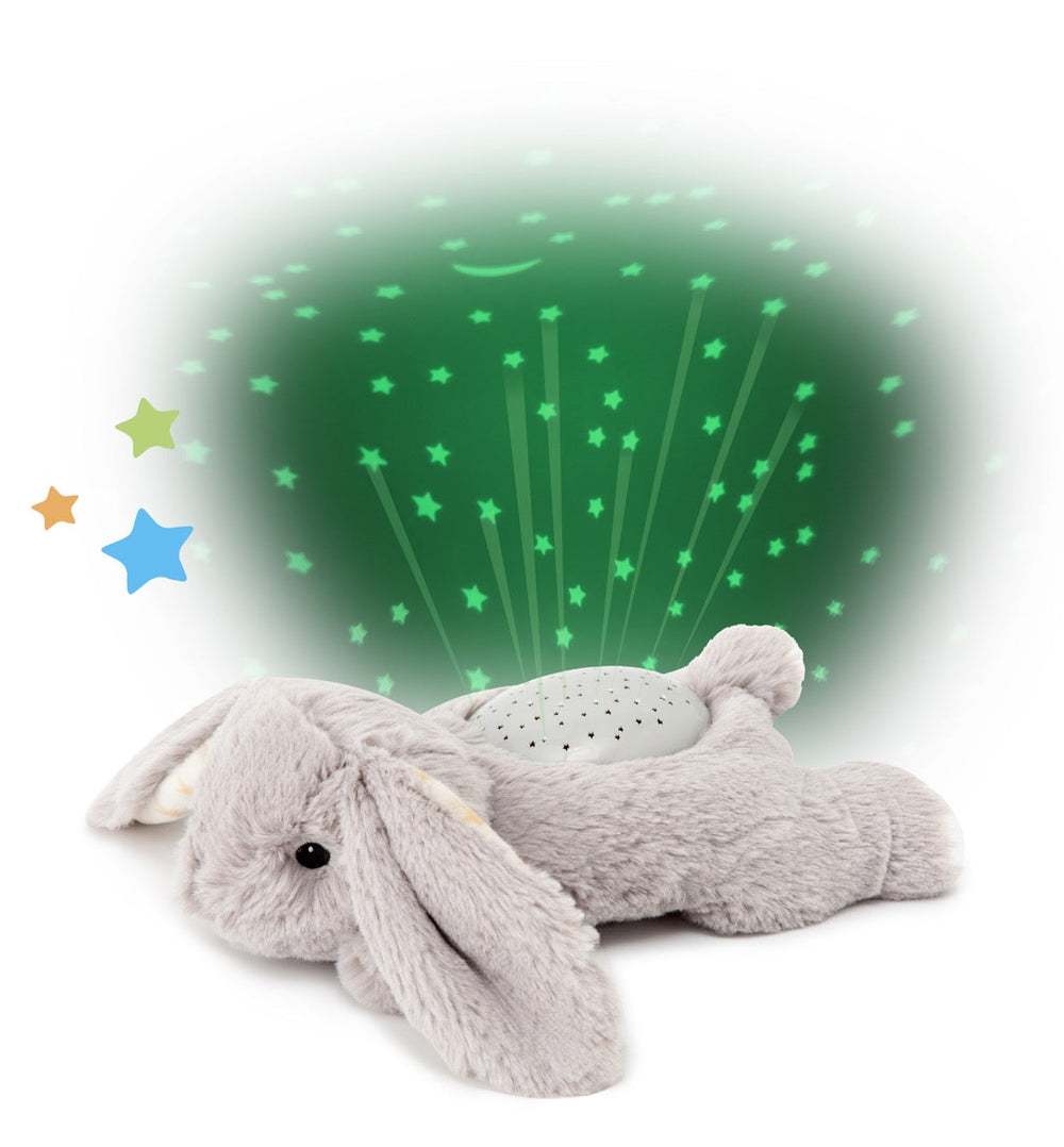 Dream Buddies- Benny Bunny by cloud b