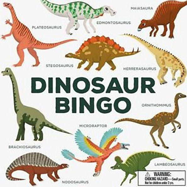 Dinosaur Bingo by Hachette Books