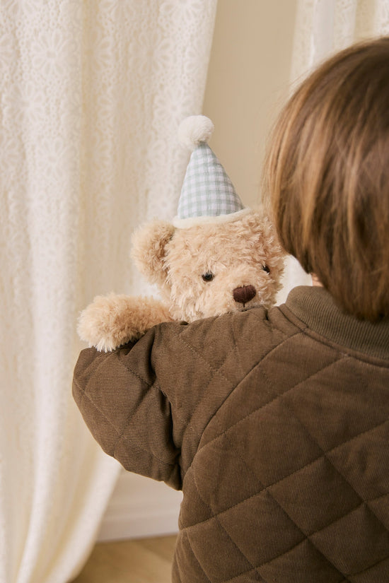 Snuggle Bunnies - Birthday Arthur - Gingham by Jamie Kay