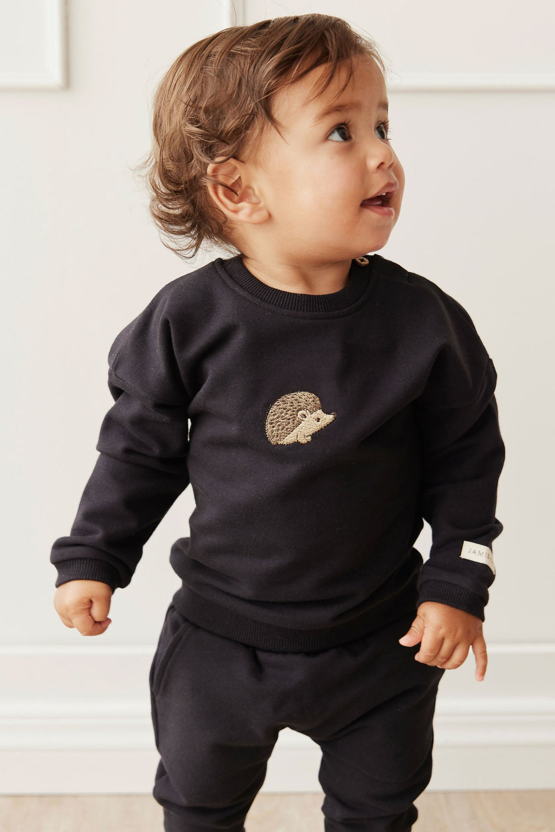 Organic Cotton Damien Sweatshirt - Constellation Hedgehog by Jamie Kay