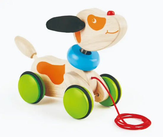 PT Pull Along Puppy by Hape