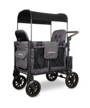 Wonderfold W2 Luxe Pro Double Stroller Wagon (2 Seater)