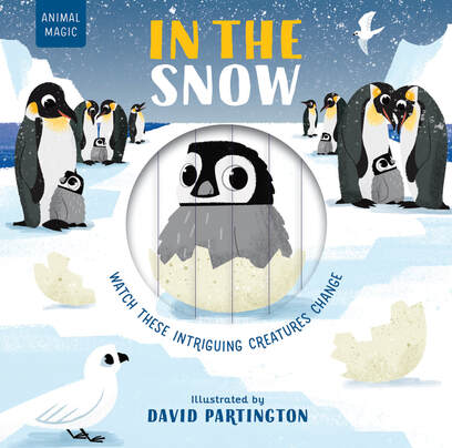 Animal Magic: In the Snow by EDC Publishing