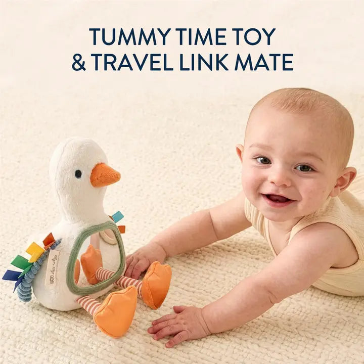 Itzy Bitzy Mirror Sensory Tummy Time- Goose by Itzy Ritzy