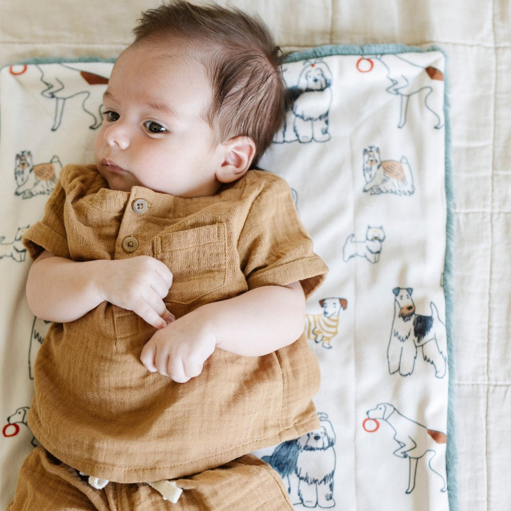 Minky/Lush Mini Blanket- Dogs by Saranoni