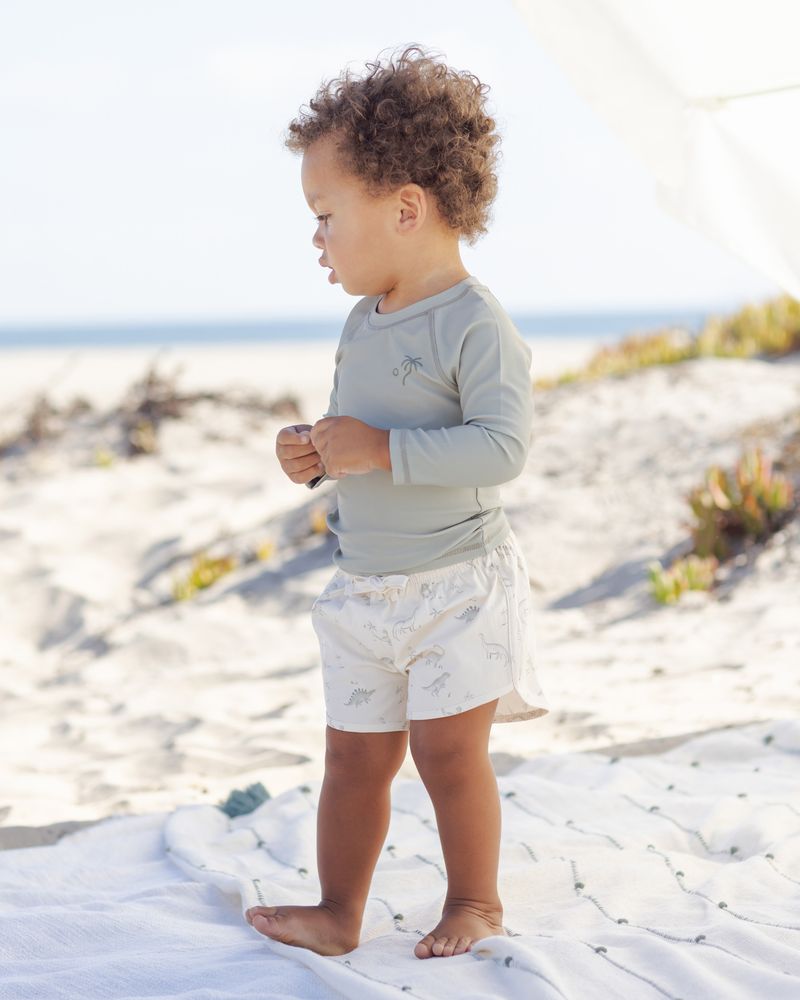 Boys Swim Short || Dinosaur by Quincy Mae