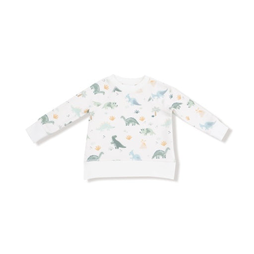 Angel Dear Soft Dinos French Terry- Green Raglan Sweatshirt + Jogger Set