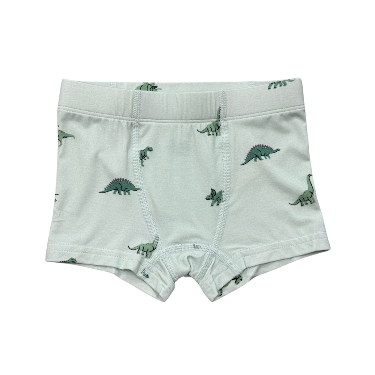 Boy's Boxer- Dinosaur by Babysprouts