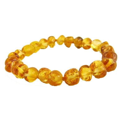 The Amber Monkey Baltic Amber 7 inch Bracelet- Honey Stretch