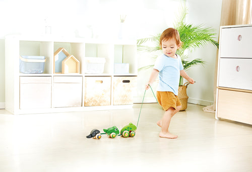 Pull-Along Frog Family by Hape