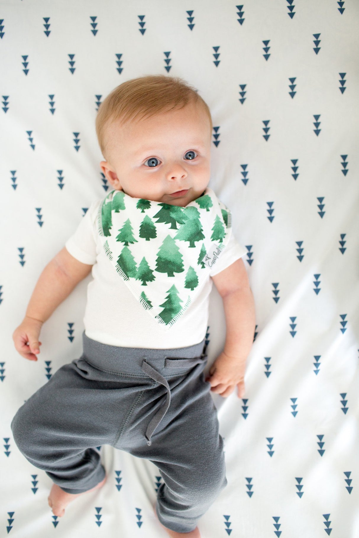 Baby Bandana Bibs in Woodland Set by Copper Pearl