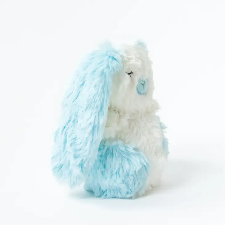 Blue Bunny Mini & Bigfoot Lesson Book- Self Esteem