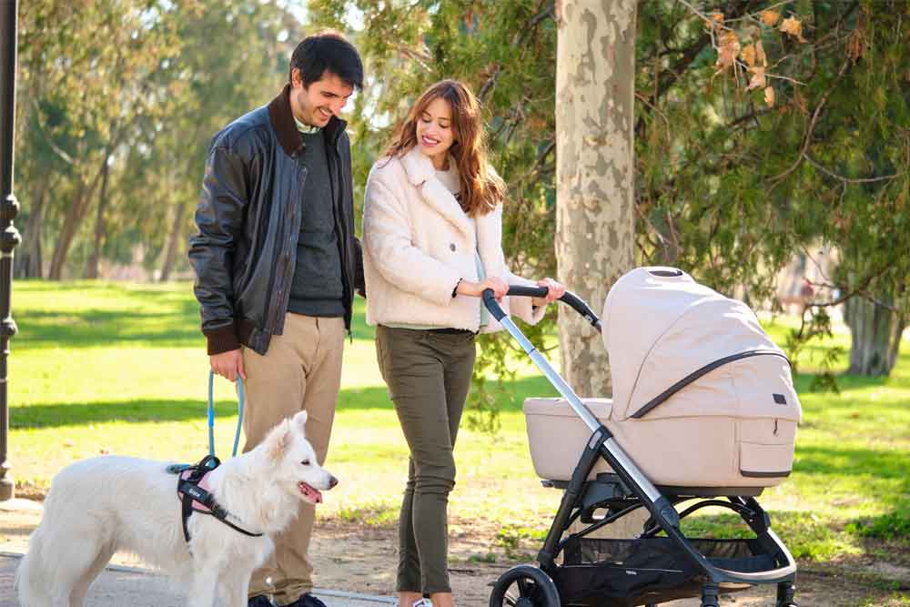 Doona Car Seat And Stroller: Is It Really Worth It?
