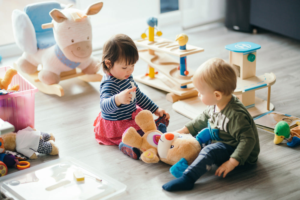 Baby Development Toys and Stuffies