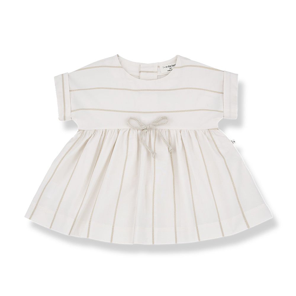 anges dress by 1+ in the family
