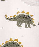 Printed Fleece Sweater- Dino by Play Up