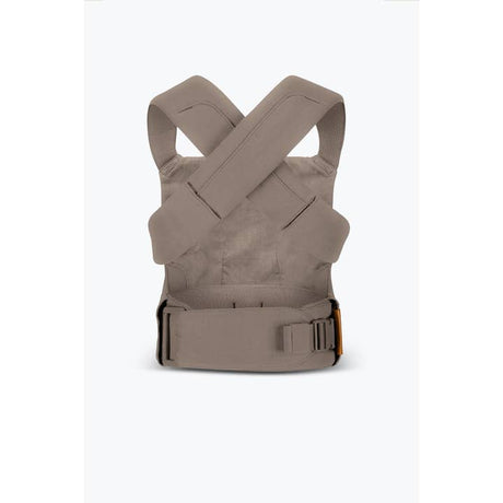 Desert Lark - Aerial Carrier by Wildbird
