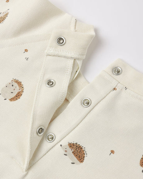Raglan Jumpsuit || Hedgehog by Rylee + Cru