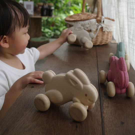 Push Along Bunny -White by Plan Toys