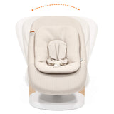Stokke Yoga Baby Bouncer & Swing