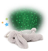 Dream Buddies- Benny Bunny by cloud b