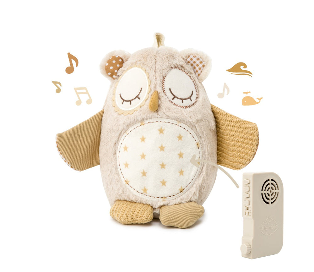 Nighty Night Owl™ Smart Sensor by cloud b