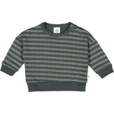 Stripe Sweatshirt Balance Green by Müsli