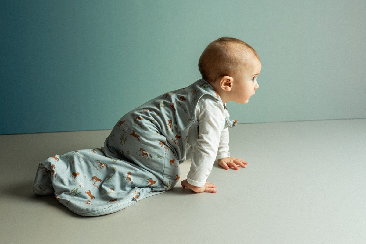 1.5 TOG Sleepsack- Horses by Coccoli