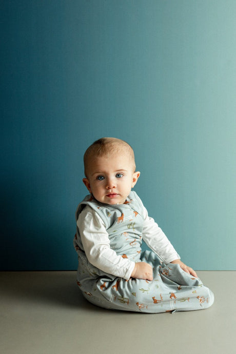 1.5 TOG Sleepsack- Horses by Coccoli