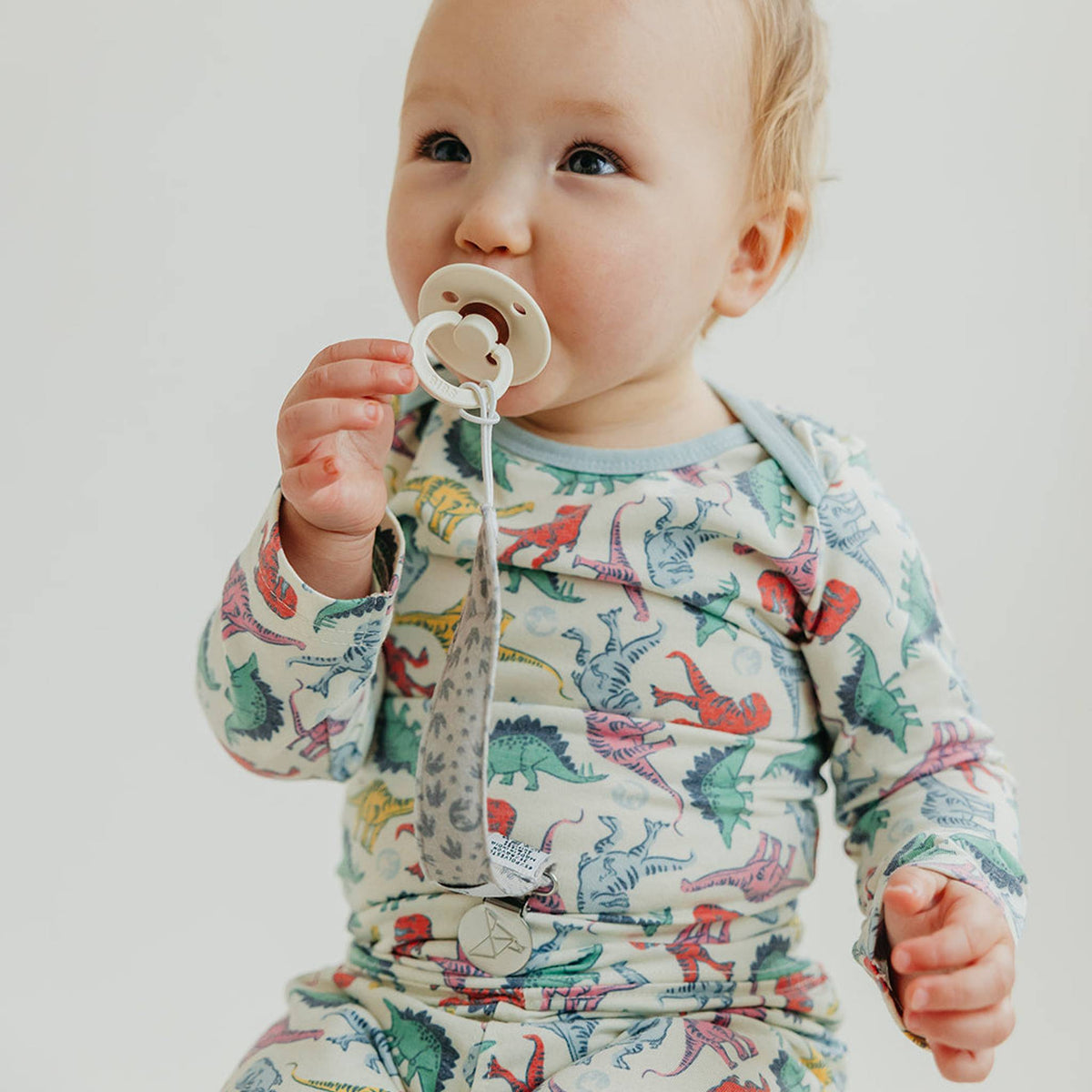 Binky Clips- Jurassic Park by Copper Pearl