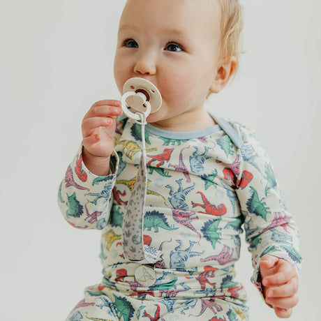 Binky Clips- Jurassic Park by Copper Pearl