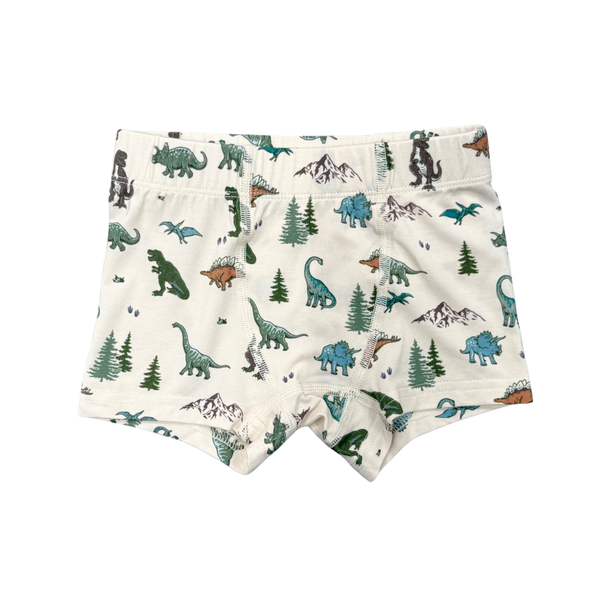 Boys Boxer- Dino Land by Babysprouts