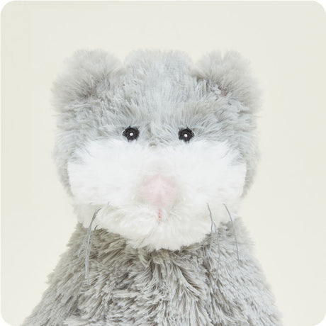 Cat by Warmies