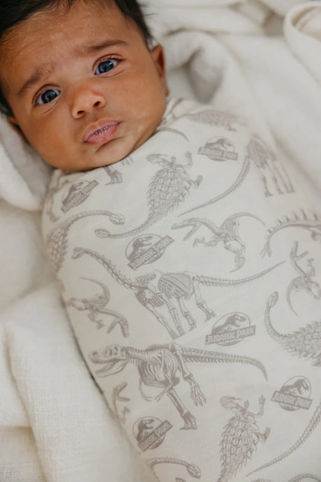 Knit Swaddle Blanket - Jurassic Park Fossils by Copper Pearl