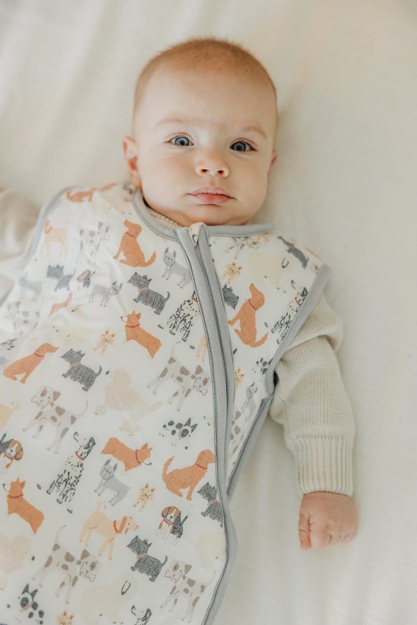 Sleep Bag - Rufus by Copper Pearl