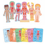 Magnetic Human Body Wooden Puzzle by Hape