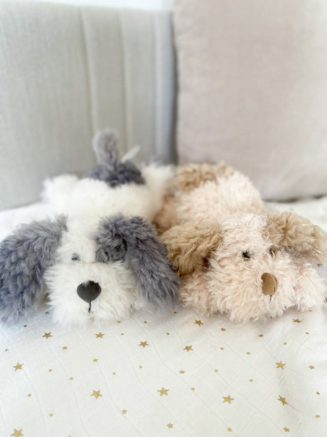 Bogart Puppy by Mon Ami