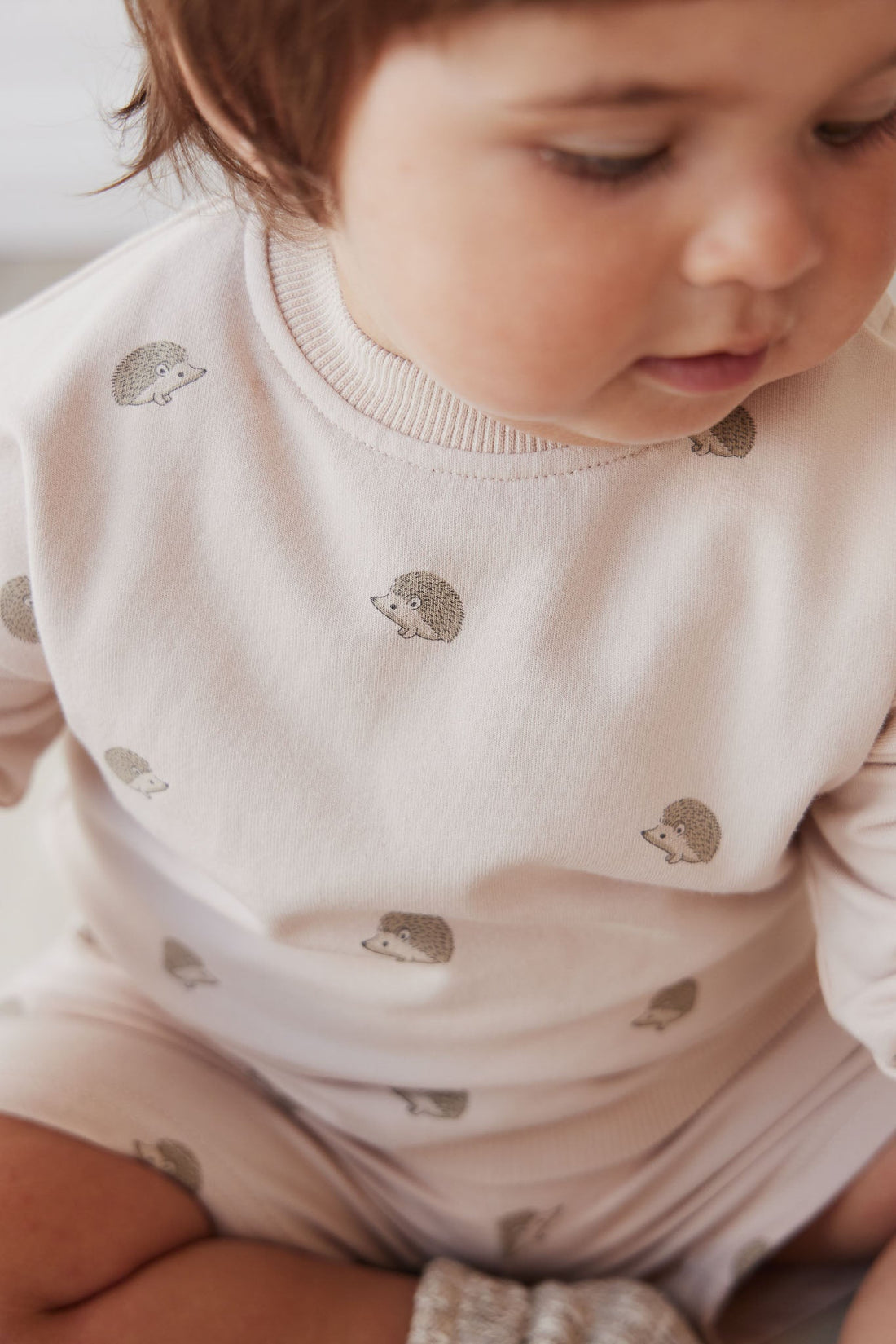 Organic Cotton Kit Sweatshirt - Henry Hedgehog Birch by Jamie Kay
