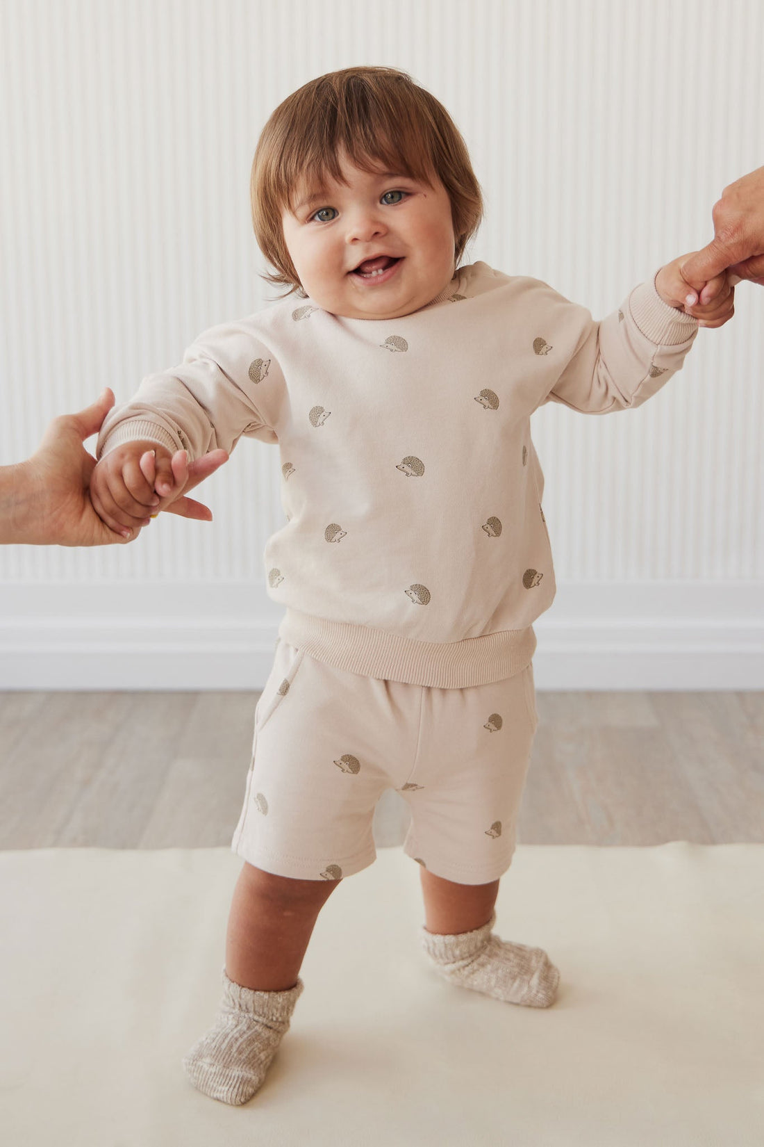 Organic Cotton Kit Sweatshirt - Henry Hedgehog Birch by Jamie Kay