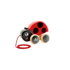 Ladybug Pull Along by Hape