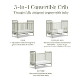 Namesake Abigail 3-in-1 Convertible Crib