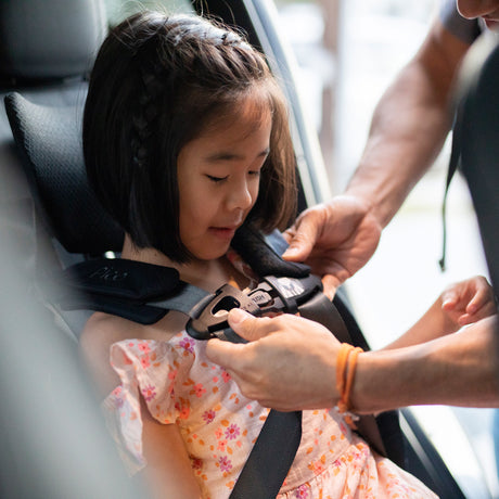 Pico™ Travel Car Seat by WAYB