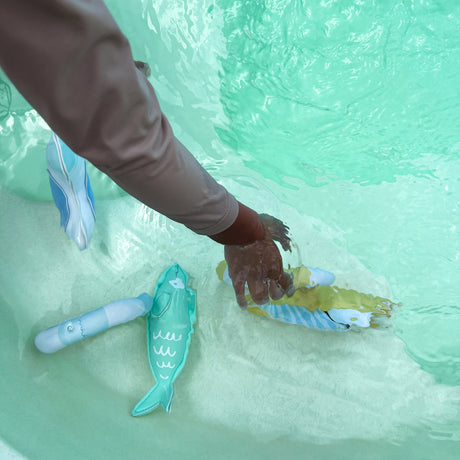 Dive Buddies- Sammy the Seagull Multi by Sunnylife