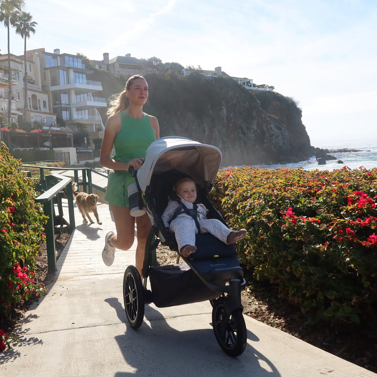 UPPAbaby Ridge V2 All-Terrain Stroller (COMING SOON)